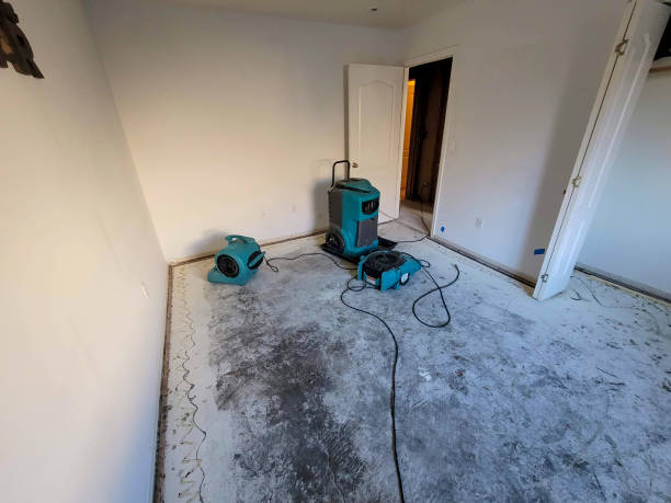 Best Flooded house restoration  in Runaway Bay, TX