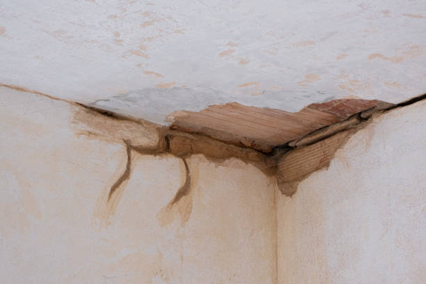 Best Water damage contractors near me  in Runaway Bay, TX