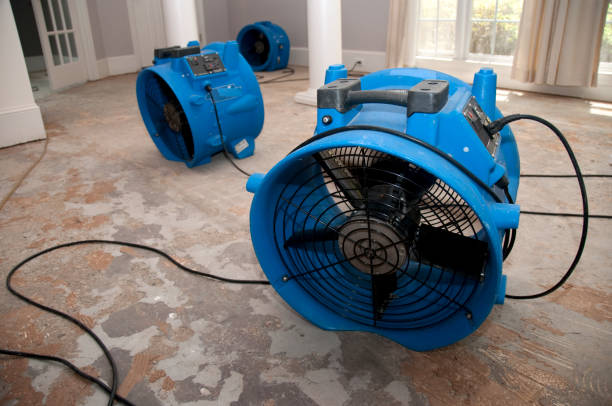 Best Flood damage cleanup  in Runaway Bay, TX