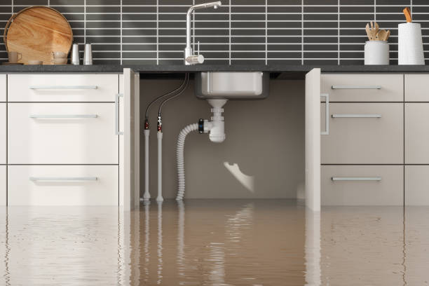 Best Carpet water damage restoration  in Runaway Bay, TX