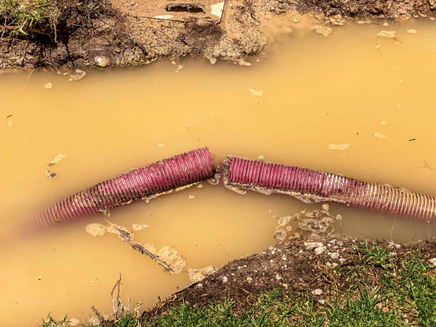Best Basement water damage restoration  in Runaway Bay, TX